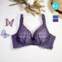 [現貨]  蕾絲軟鋼圈胸圍 - 紫色     [配褲須加購]