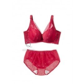 [預購]  深低脊心深V柔紗Push Up胸圍配襯褲 - 紅色