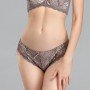 [現貨]  蕾絲軟鋼圈胸圍配襯褲 - 可可色