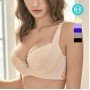 [現貨]  黃金比例 高提托機能調整型胸圍 - 膚色     [配褲須加購]