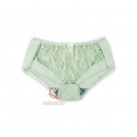 [預購]  蕾絲鋼圈胸圍配襯褲 - 淺綠色