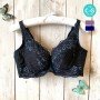 [預購]  大罩杯蕾絲鋼圈胸圍 - 深藍色     [配褲須加購]